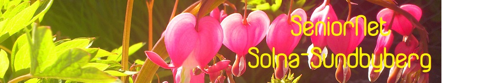 SeniorNet Solna-Sundbyberg